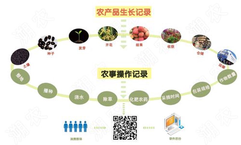 农产品质量溯源的重要性与行业动态